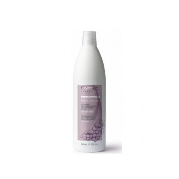 Shampooing Sublime fruit raisin 1000 ml